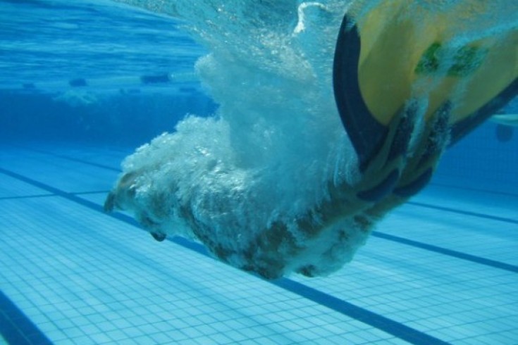 Campionati Italiani Estivi di Nuoto Pinnato